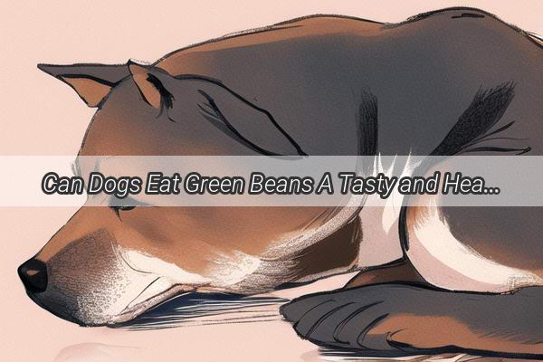 Can Dogs Eat Green Beans A Tasty and Healthy Treat Guide for Your Furry Friend